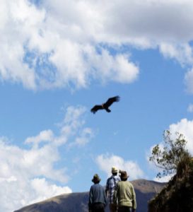 Cusco Cañon del Condor Limatambo 1 dia