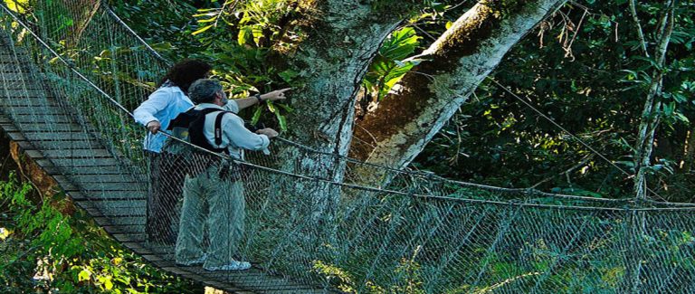 Viaje a la Amazonia Peru Tambopata 3 dias