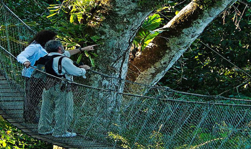 Viaje a la Amazonia Peru Tambopata 3 dias