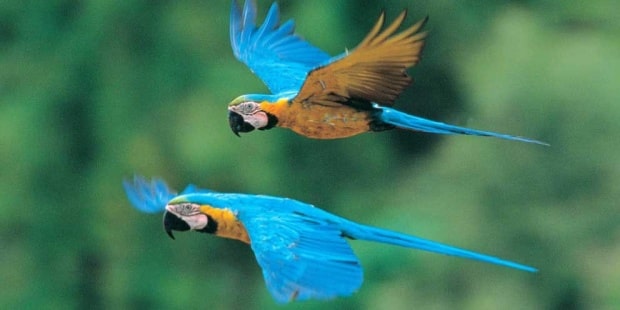3 day Trip to the Amazon in Peru