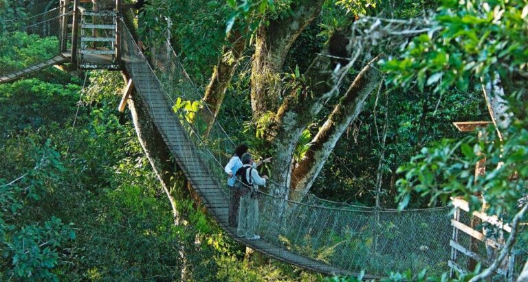 Explora la Amazonia Peruana 2 dias