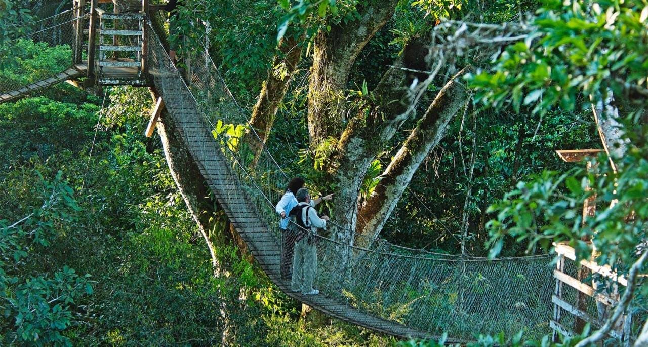 Explora la Amazonia Peruana 2 dias
