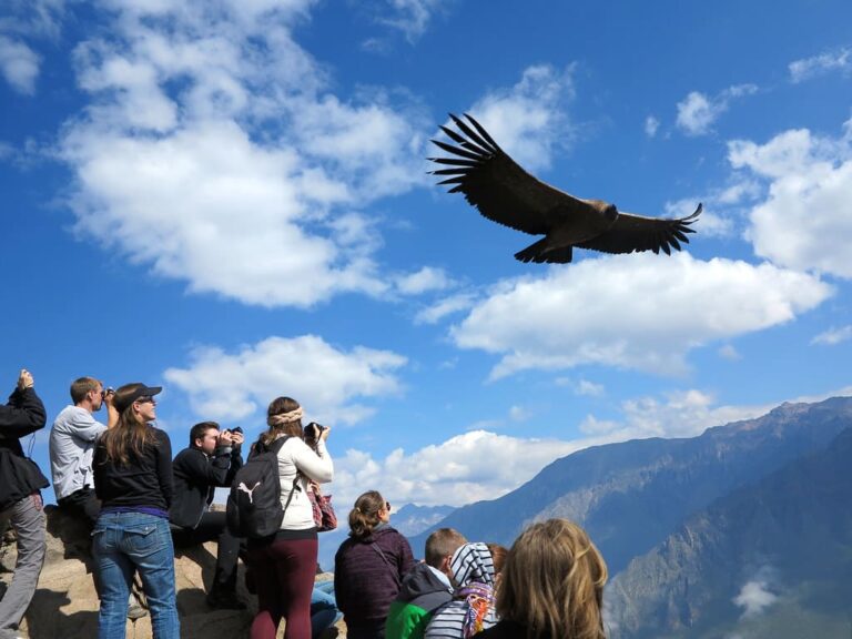 Trekking del Cañon Colca  1 dia