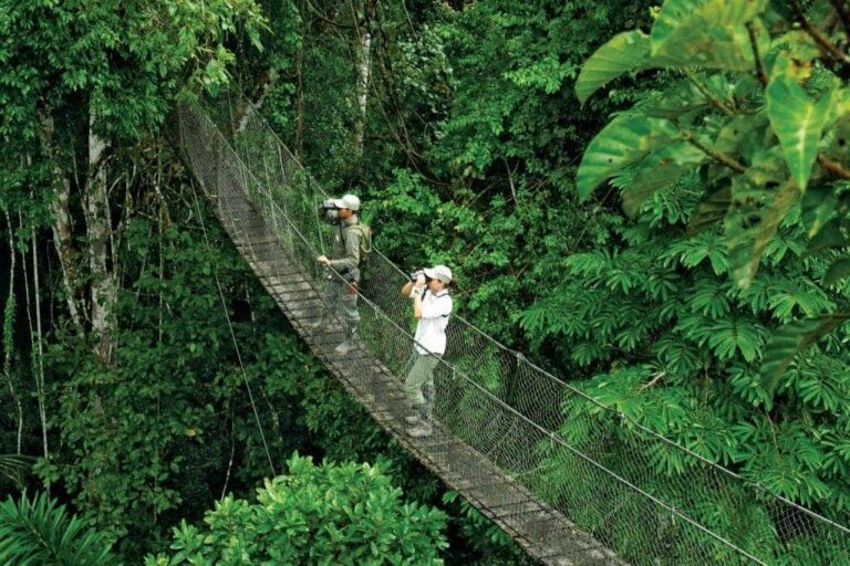 Explore The Peruvian Amazon in 2 days